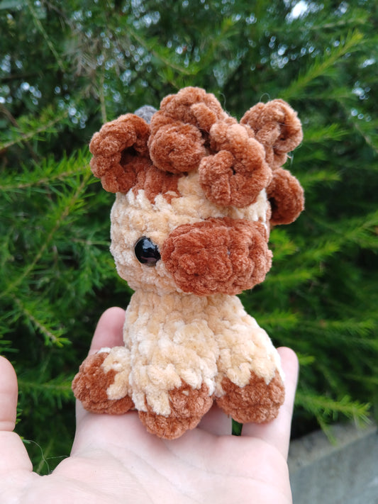 Vachette bouclette 🐮