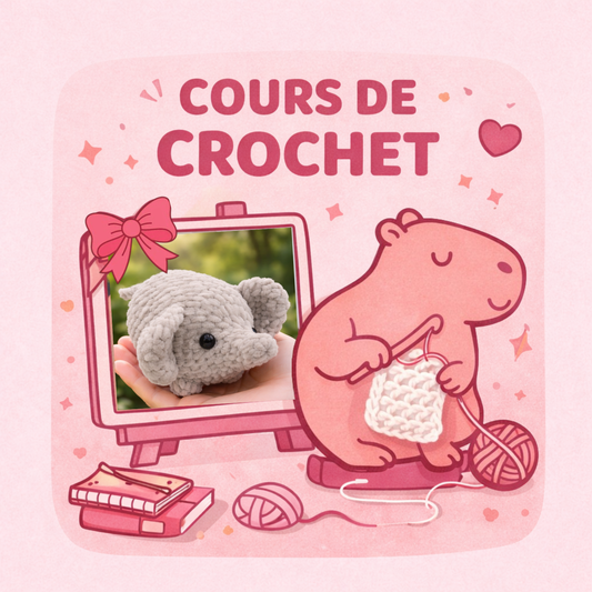 Cours de crochet du Samedi 21 février ✨🐘(Intermédiaire)